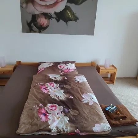U Paseraka Διαμέρισμα Železná Ruda