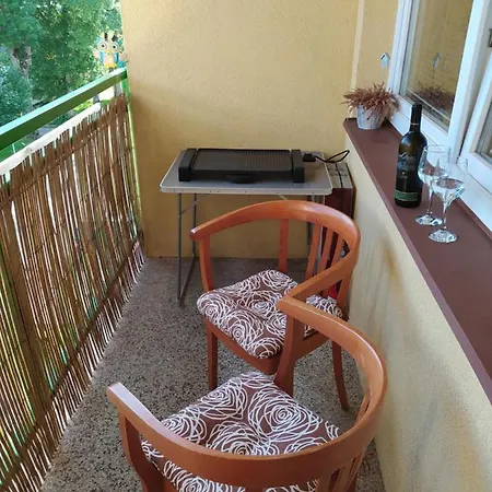 U Paseraka Διαμέρισμα Železná Ruda