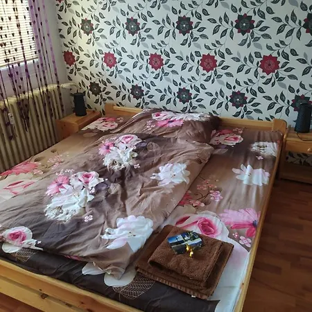 U Paseraka Železná Ruda